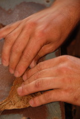 Cigar making