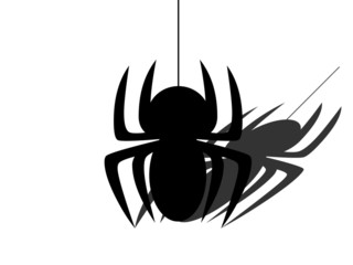 Black Spider