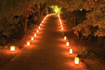 luminarias light a forest path at night