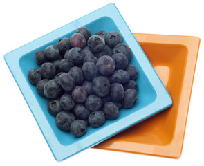 Dish of Fresh Blueberries