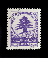 LEBANON - CIRCA 1948 - Postage stamp with cedar tree of Lebanon