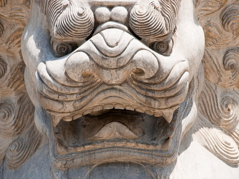 Face of the chinese lion sculpture in Xian, China