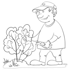 Gardener cuts a bush, contour