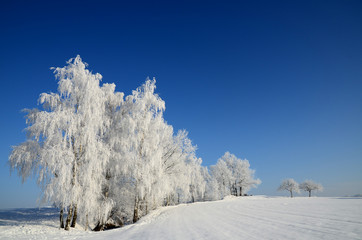 winter