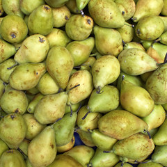 fresh pears, natural background