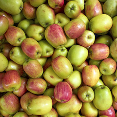 fresh wet apples, natural background