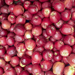 juicy apples at the local market, natural background