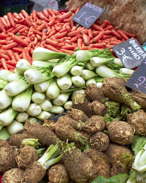 celeriac, fennel and carrots , natural background