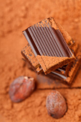 Chocolate and cocoa