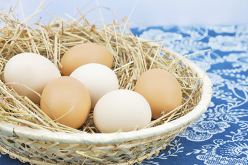 Fresh farm eggs in scuttle with hay