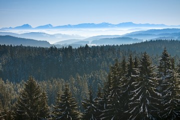 Morning winter calm mountain landscape