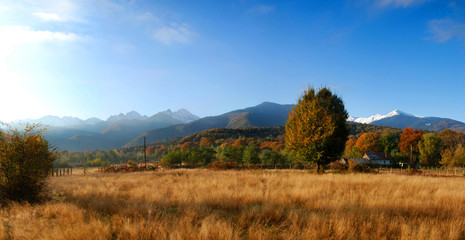 Road to the mountains