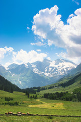 Fototapeta na wymiar Romantyczny krajobraz naturalny w Austrii