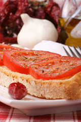 Typical italian bruschetta