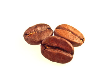 Coffee Grain