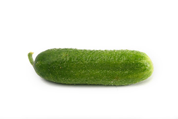 isolated cucumber