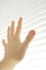 The human hand touches to window