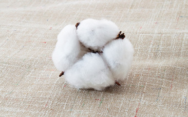 Cotton