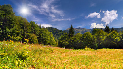 Summer landscape in the mountains