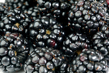 blackberry