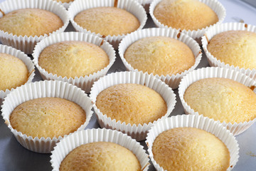 Baked Cupcakes