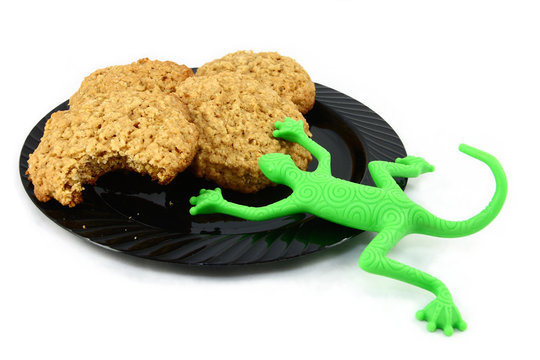 Cookies with Toy Gecko