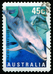 Obraz premium stamp