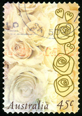stamp