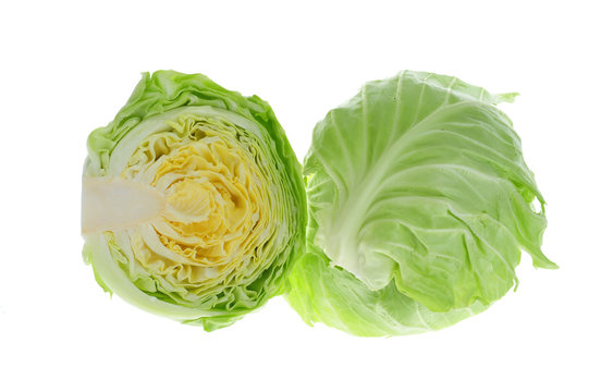 Chinese Cabbages With  Cut Sectional View