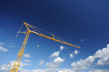 crane in the sky
