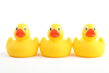 Rubber ducklings