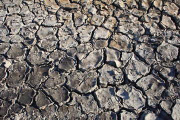 Ground black cracking clay pieces.