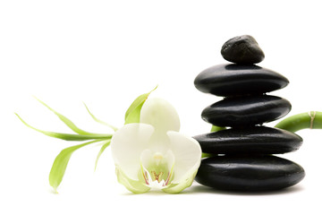 White flower, green bamboo and black stones isolated