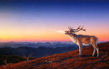 Roaring red deer, against the backdrop of night scenery