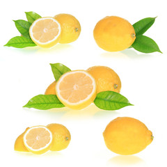 Fototapeta premium Collection of lemons