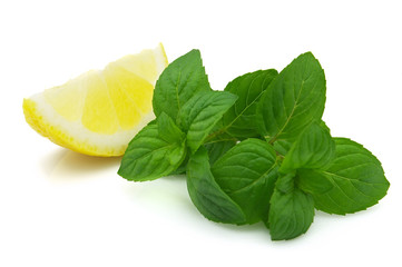 Mint with lemon slice