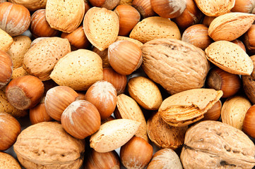 Nocciole,mandorle e noci - Texture