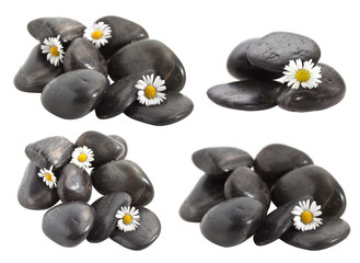 Black decorative stones with flowers daisies.