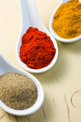 various spicy powder