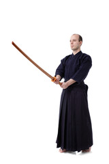 Kendo fighter