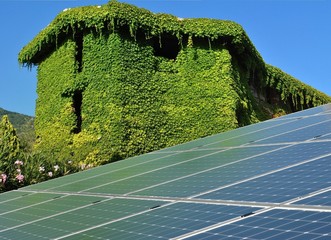Pannelli fotovoltaici e casa avvolta nell'edera