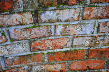 Brick wall.