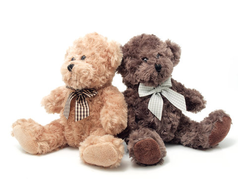 Teddy Bears on the white background