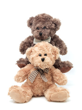 Teddy Bears on the white background