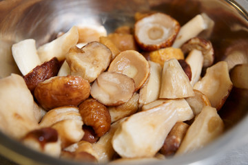 Mushrooms in stainless steel pot
