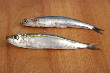 Acciugha e Sarda