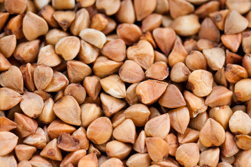 buckwheat texture