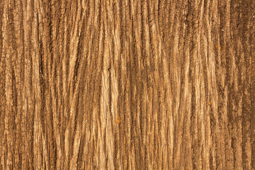 Fototapeta premium Texture detail of a wood plank