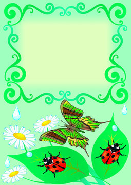 frame with butterfly, colour, sheet, ladybug