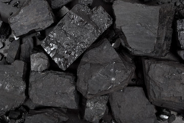 Coal